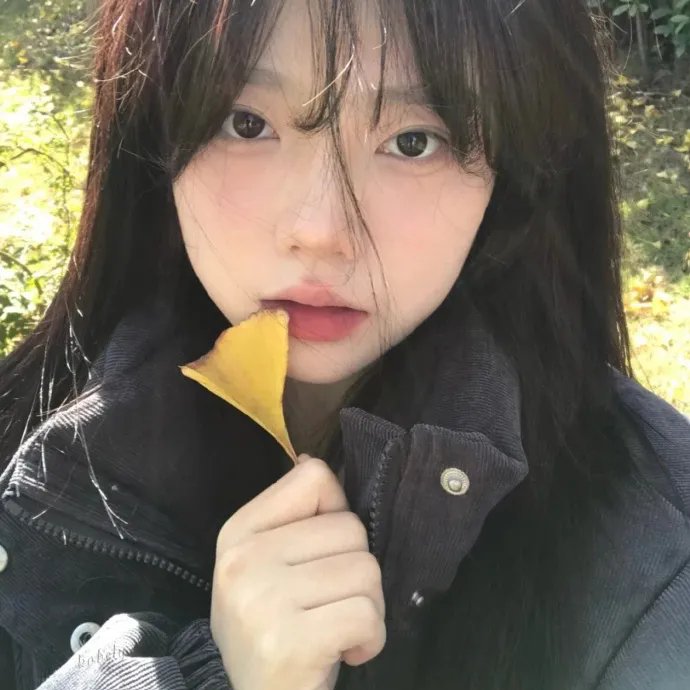 红狐