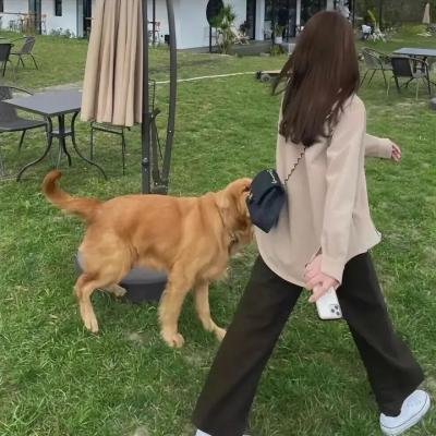 她之觉醒第一季